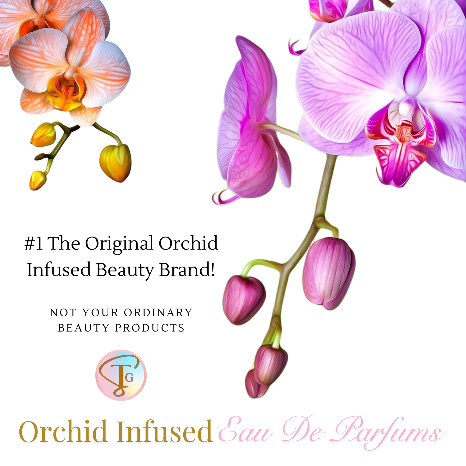 Not Your Ordinary Beauty Products