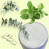 Mint & Eucalyptus Body Scrub