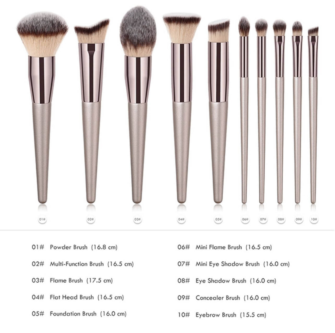 10 pc. Beige Makeup Brushes standing with descriptions
