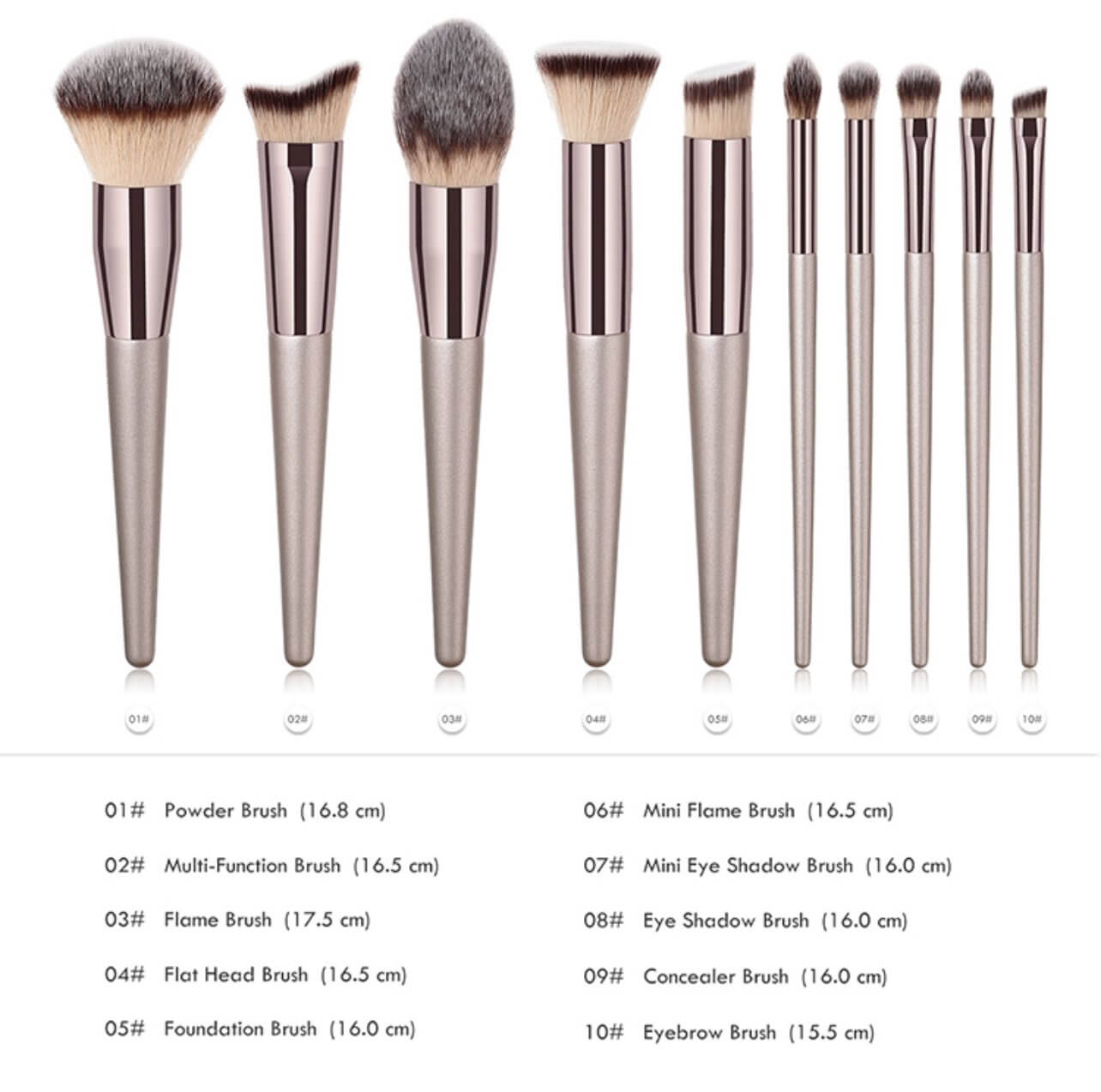 10 pc. Beige Makeup Brushes standing with descriptions