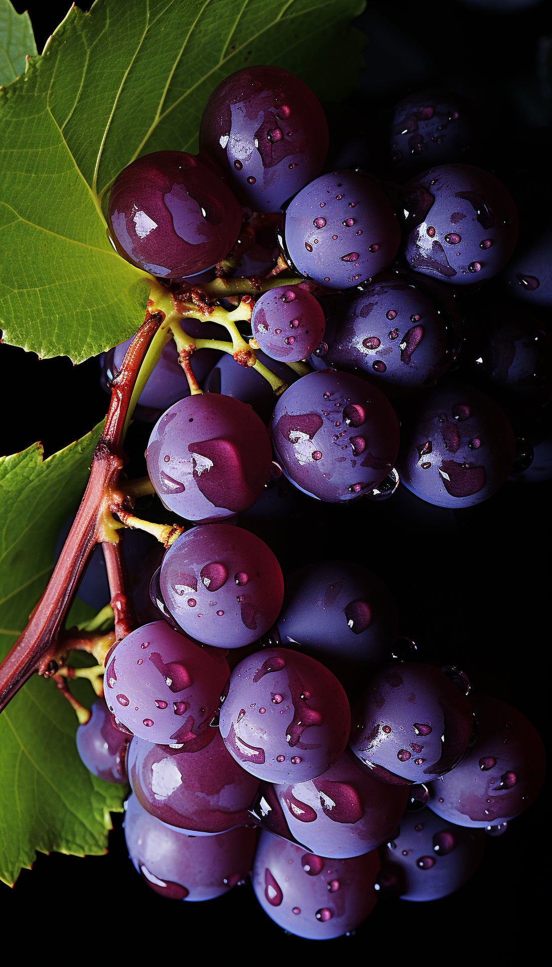 Grape Escape Eau De Parfum