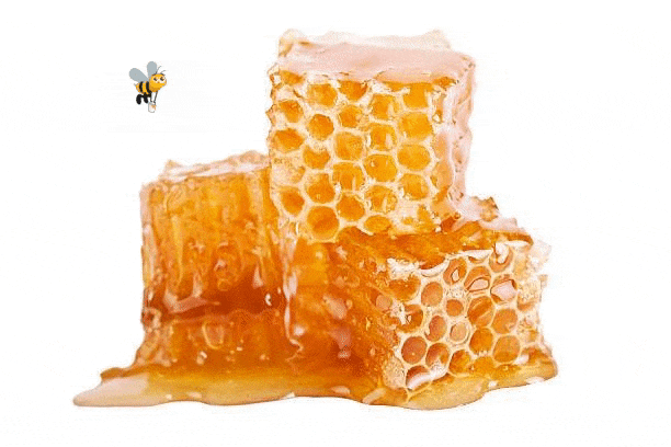 Cubes of  raw honey and a bee