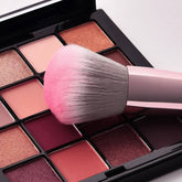 Makeup Brush dipped in eyeshadow palette