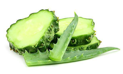 Cucumber + Aloe Sugar Scrub, cucumbers and aloe vera
